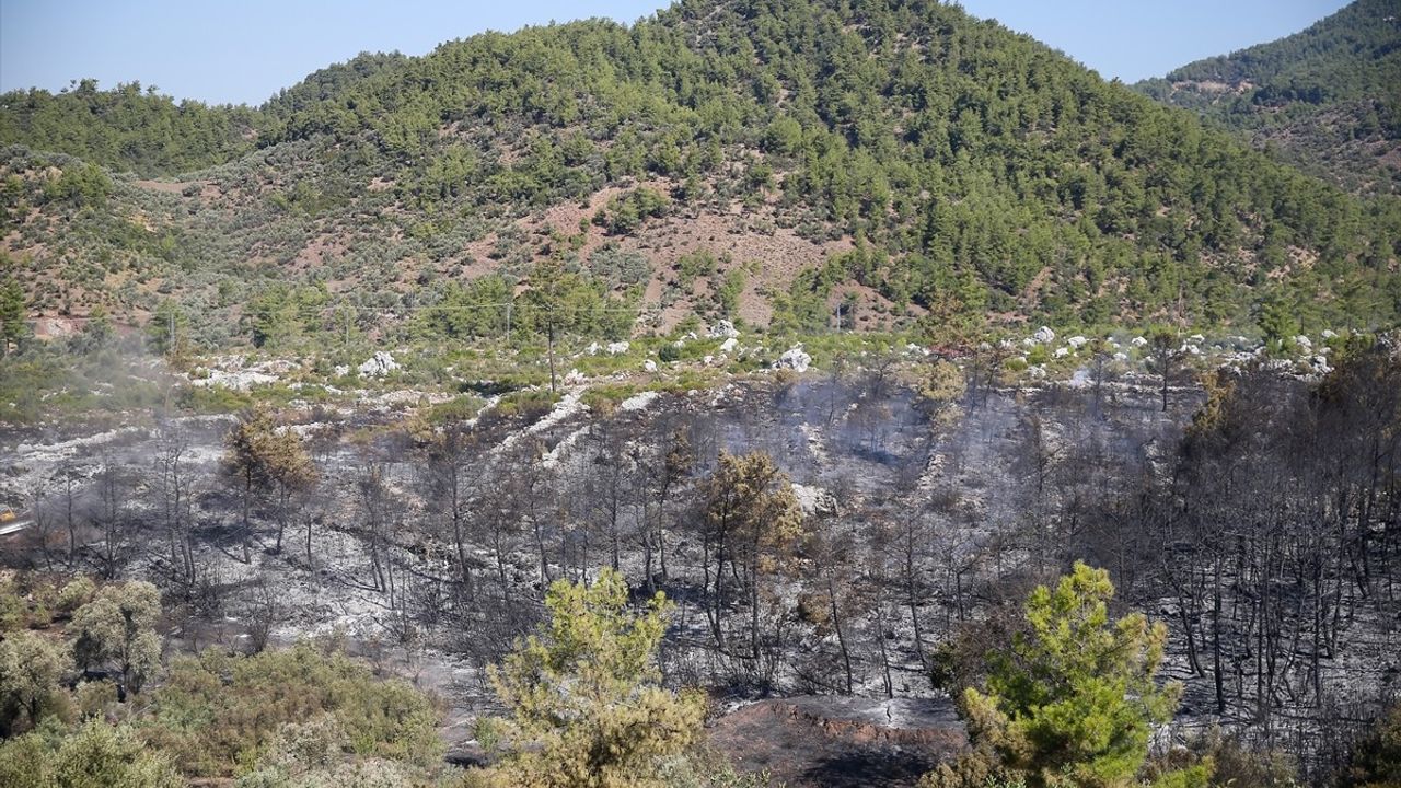 Antalya'daki Orman Yangınına Müdahale Devam Ediyor