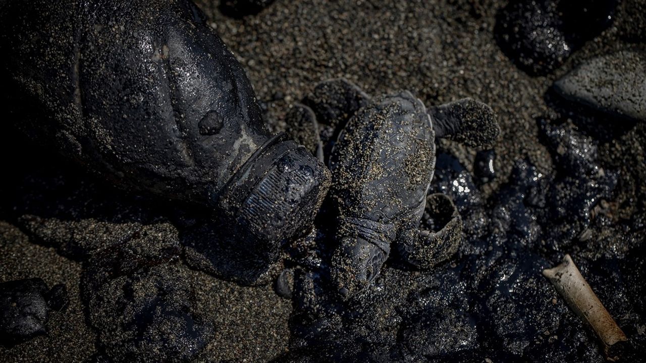 Coşkun, Uluslararası Akdeniz Fotoğraf Yarışması'nda İki Ödül Kazandı