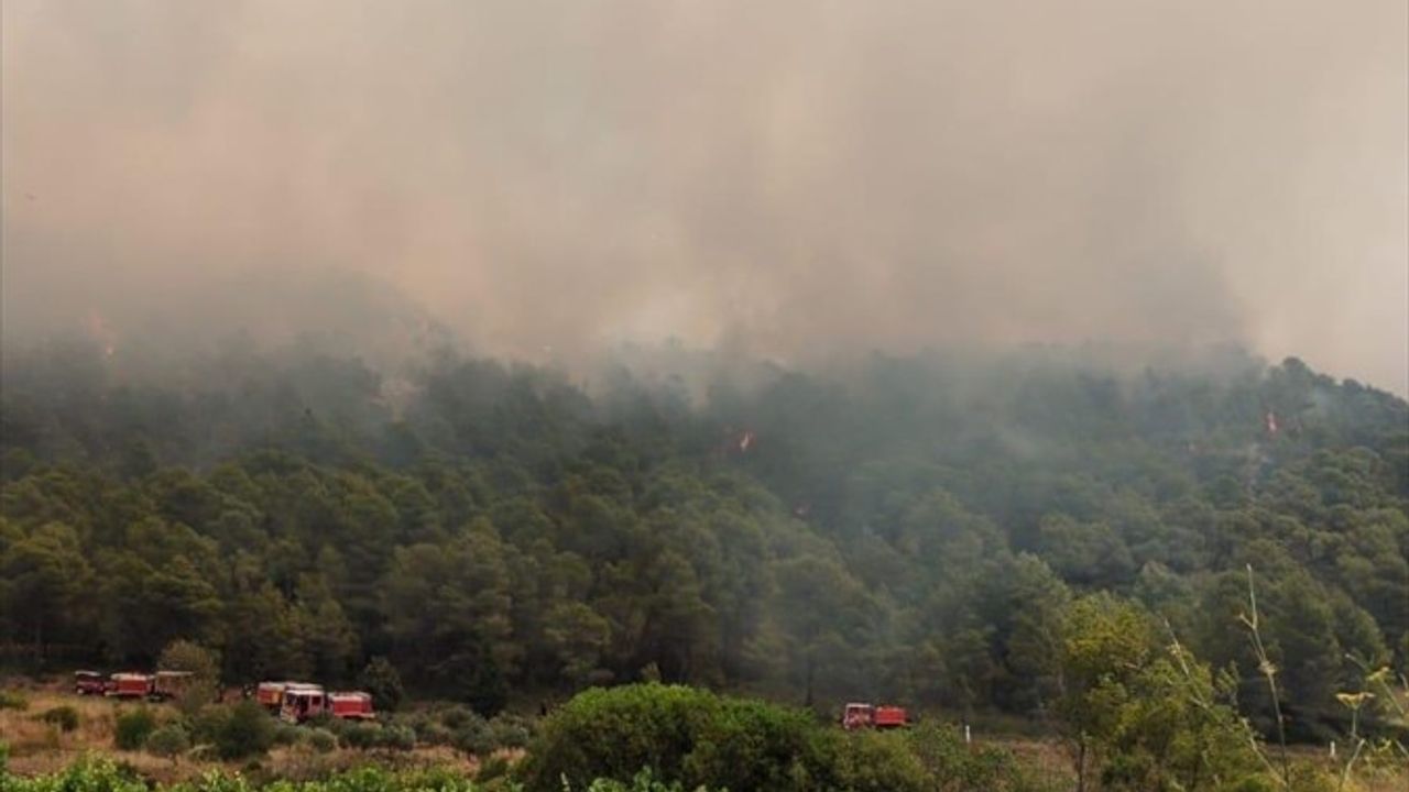 Fransa'da 65 Hektarlık Orman Yangını: Sıcak Hava Klimaları Etkiliyor
