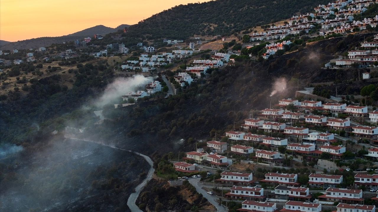 İzmir Dikili'deki Orman Yangınına Müdahale Sürüyor