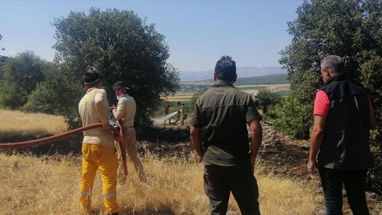 Kahramanmaraş'taki Orman Yangını Kontrol Altına Alındı