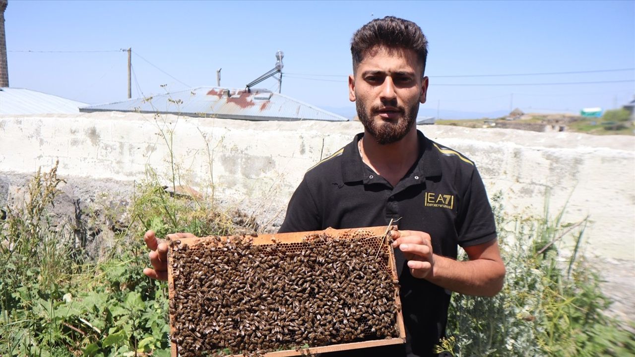 Kars'ta Arıların Oğul Verme Dönemi Başladı