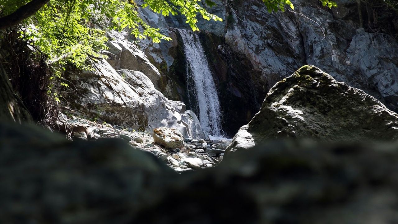 Kastamonu'nun Gürleyik Şelalesi Turizmle Buluşturuluyor