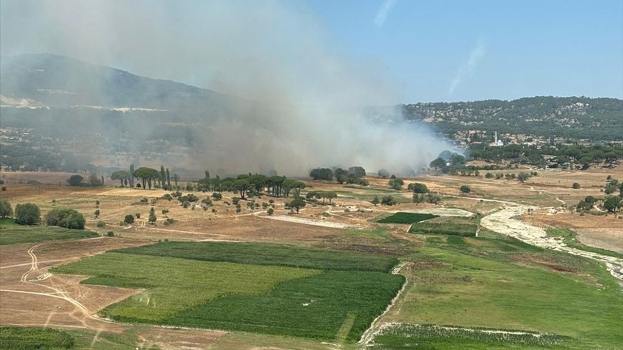 Milas'ta İkinci Orman Yangını Başladı