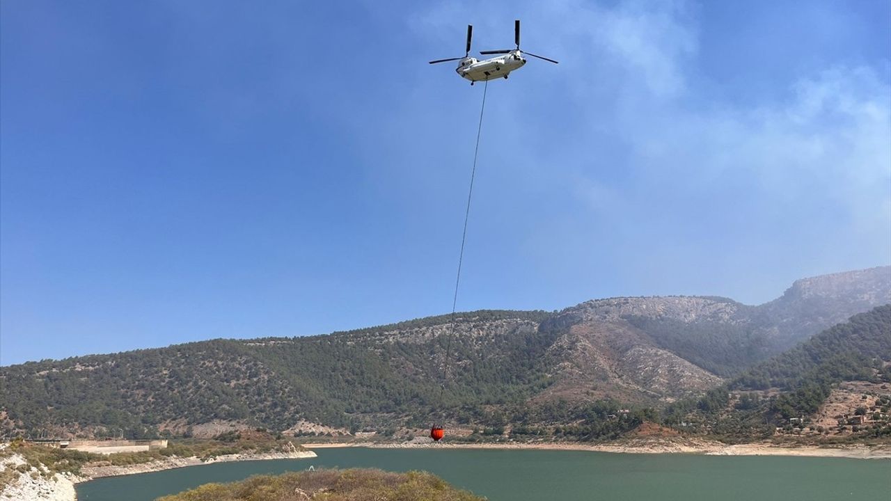 Milas'ta Orman Yangınına Müdahale Devam Ediyor