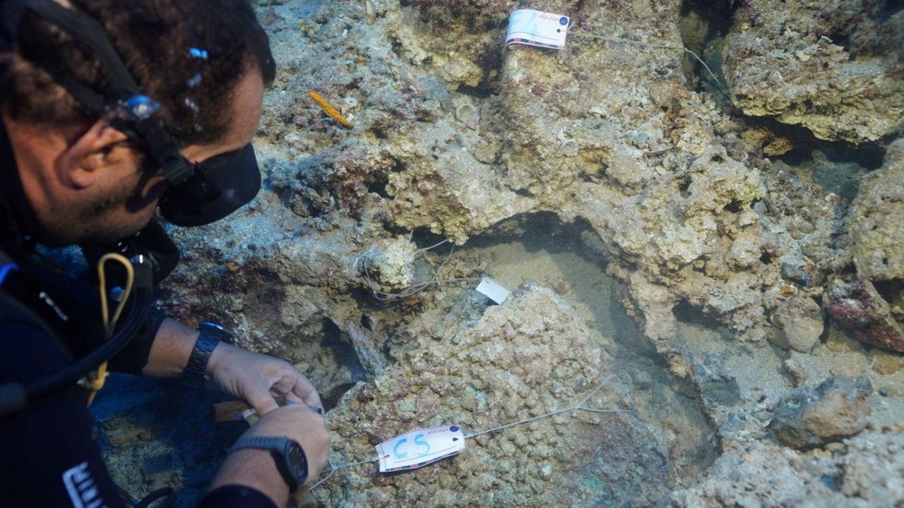 3 Bin 600 Yıllık Tunç Hançer Akdeniz'de Ortaya Çıktı