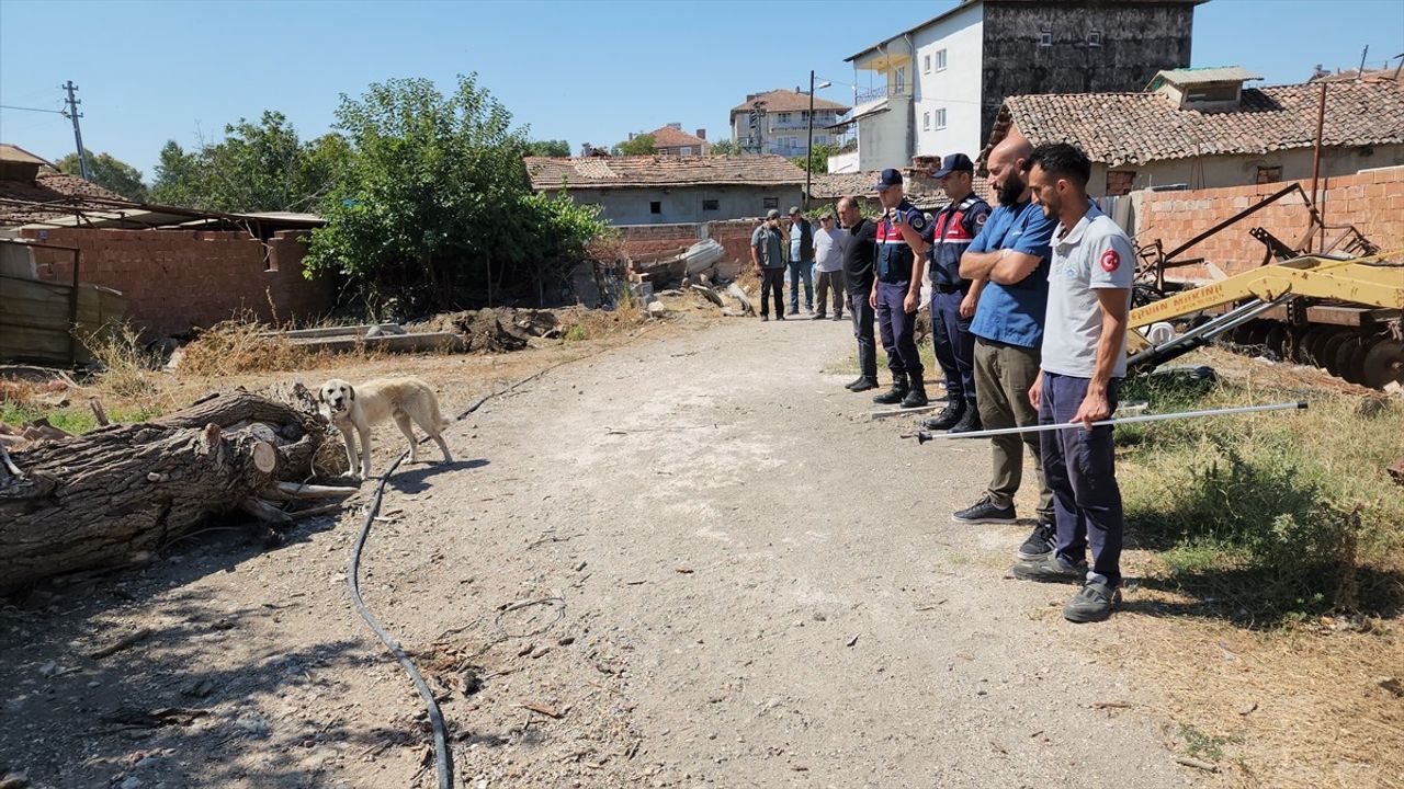 Amasya'da Sürüklenen Köpek Tedavi Edildi