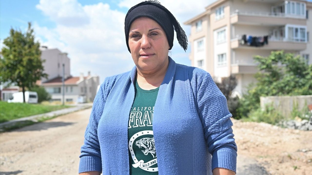 Ankara'da Sahipsiz Köpeklerin Saldırısı: 5 Yaşındaki Elif Yaralandı