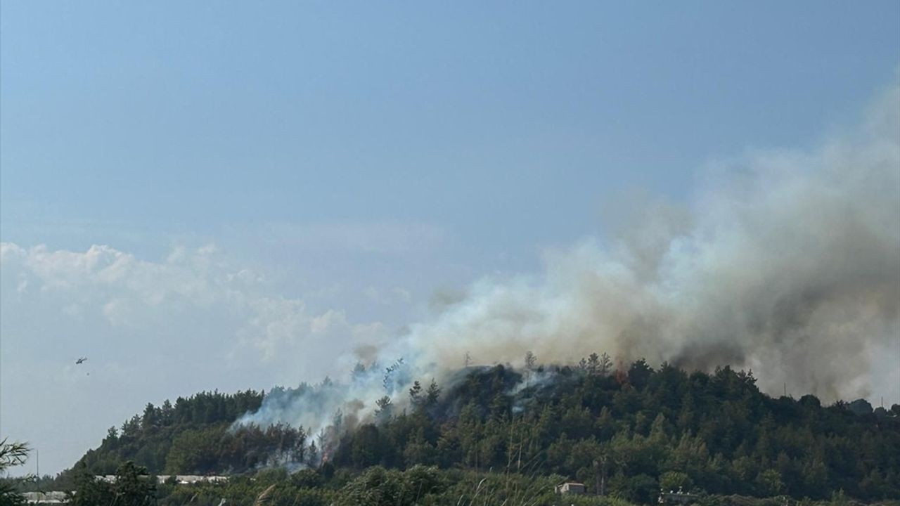 Antalya Aksu'da Orman Yangını: Hava ve Karadan Mücadele