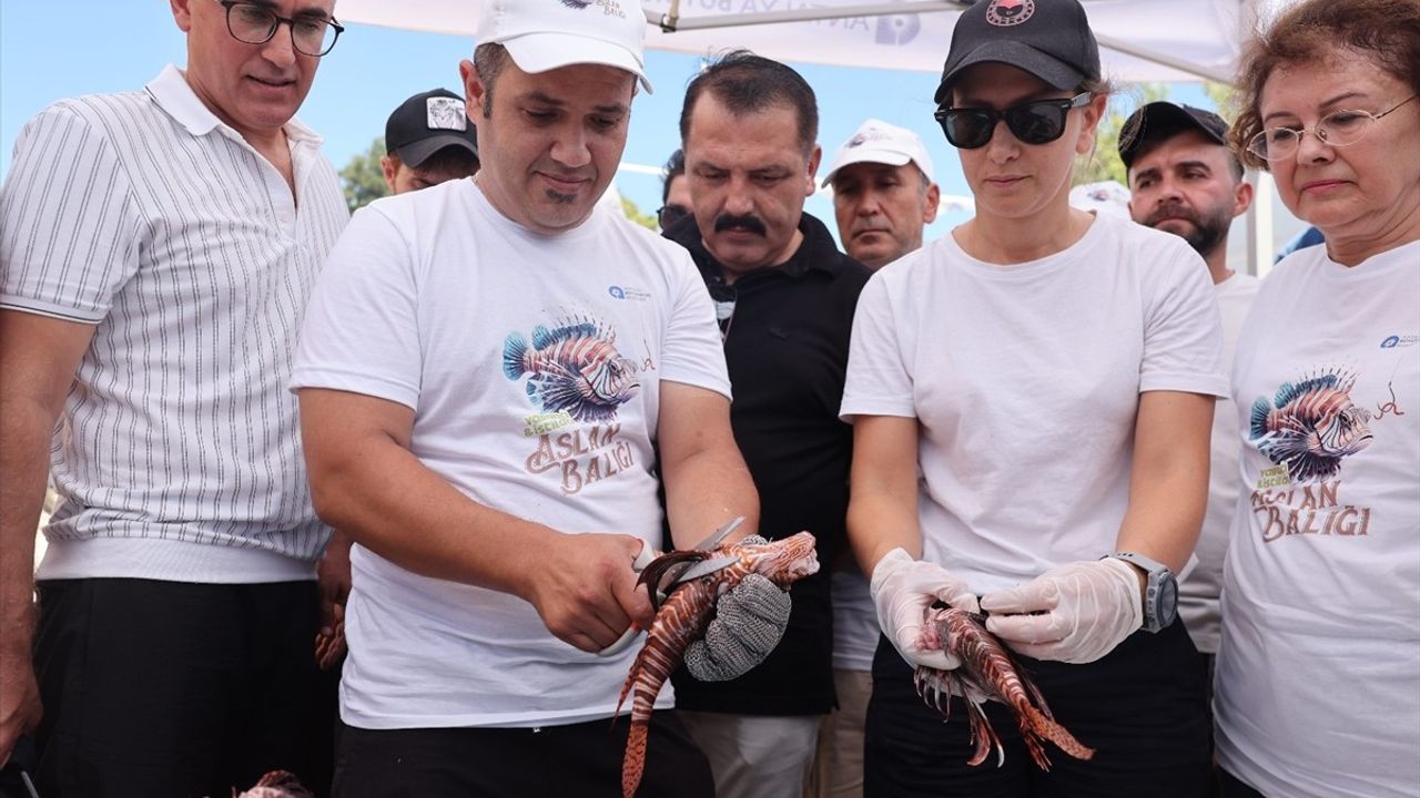 Antalya'da Aslan Balığı Yakalama Yarışması Gerçekleşti