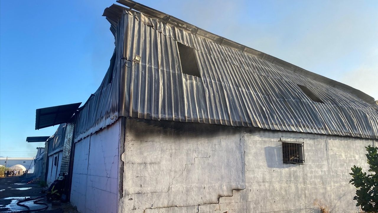 Antalya'daki Kağıt Fabrikasında Yangın Çıkışı