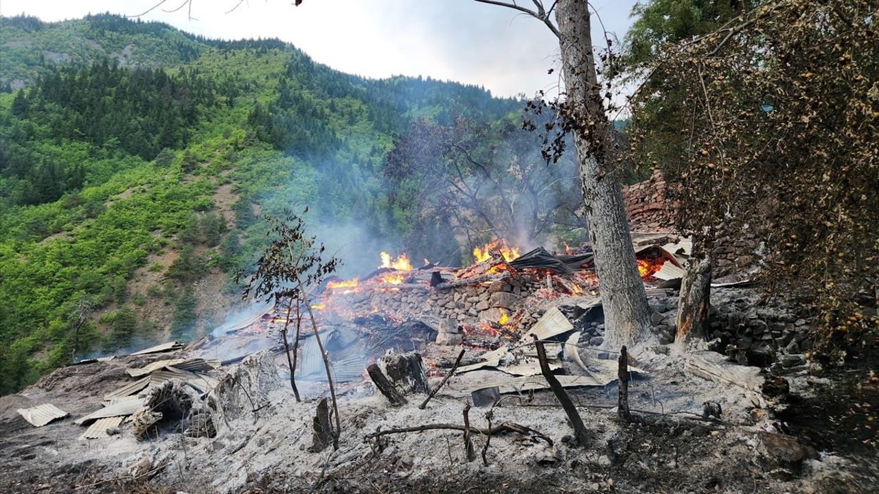 Artvin'in Şavşat İlçesinde Yangın: 3 Ev ve 9 Yapı Kullanılamaz Hale Geldi