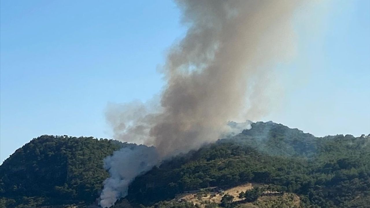 Ayvacık'taki Orman Yangınına Hızla Müdahale Ediliyor