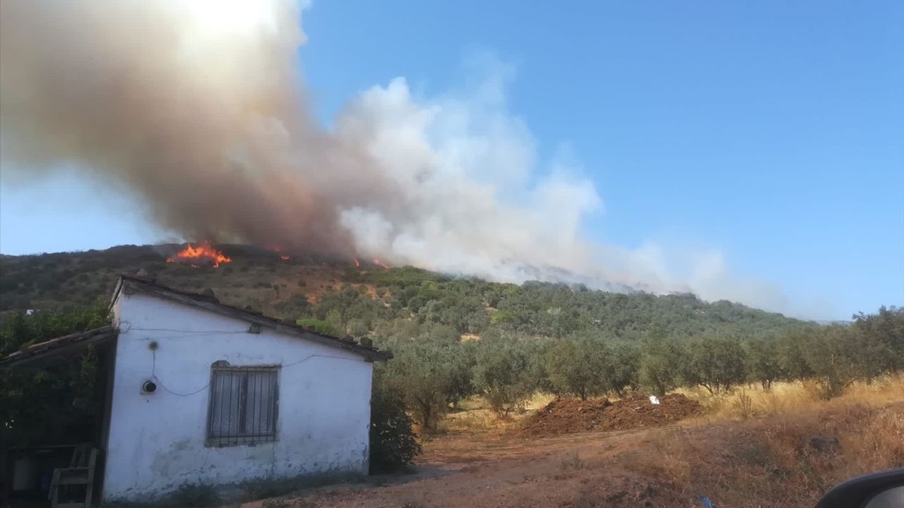 Balıkesir'de Orman Yangınına Hızlı Müdahele