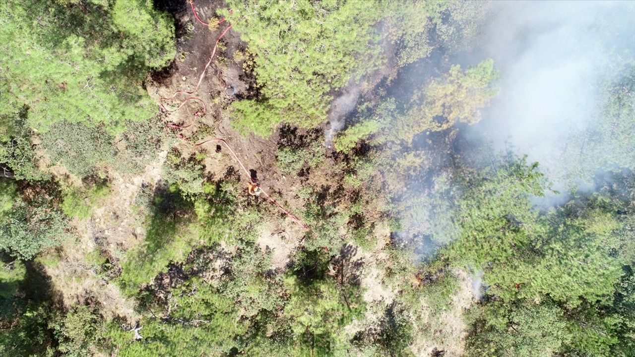 Bolu'da 71 Saatlik Yangın Mücadelesi