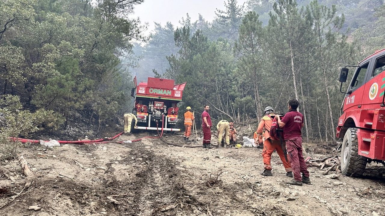 Bolu'daki Orman Yangınında Gönüllü Destekleri Devam Ediyor