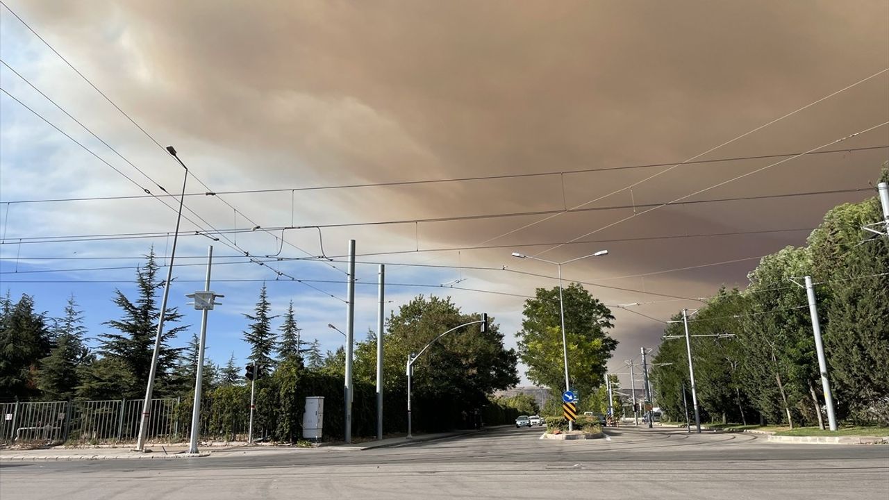 Bolu Orman Yangını, Eskişehir'i Sarmaladı