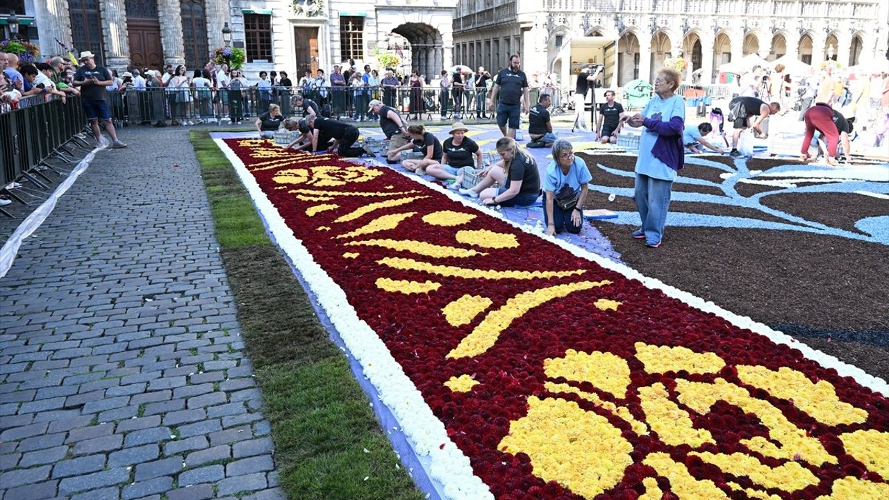 Brüksel'de Tarihi Grand Place'a Çiçeklerden Halı Döşendi