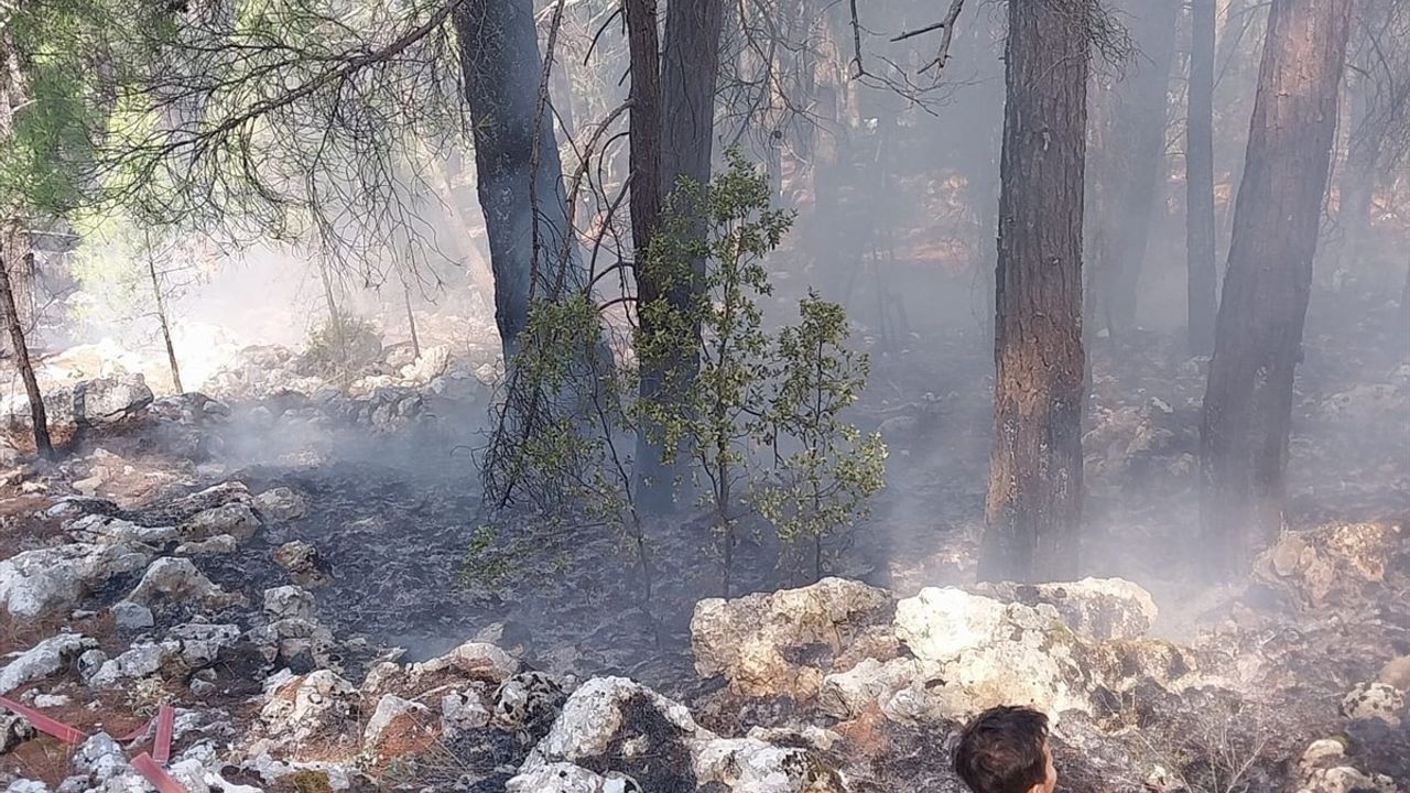 Bucak'taki Orman Yangını Kontrol Altına Alındı