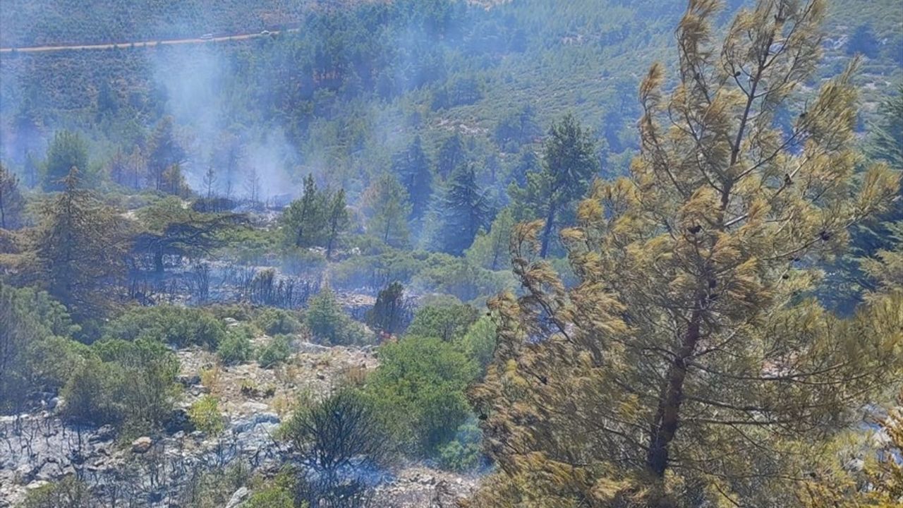 Burdur'da Orman Yangını Kontrol Altına Alındı