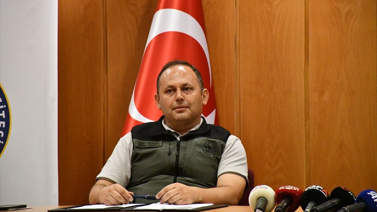 Bursa Uludağ Üniversitesi'nde Yangın Sonrası Yeşil Alan Yeniden Hayata Dönüyor