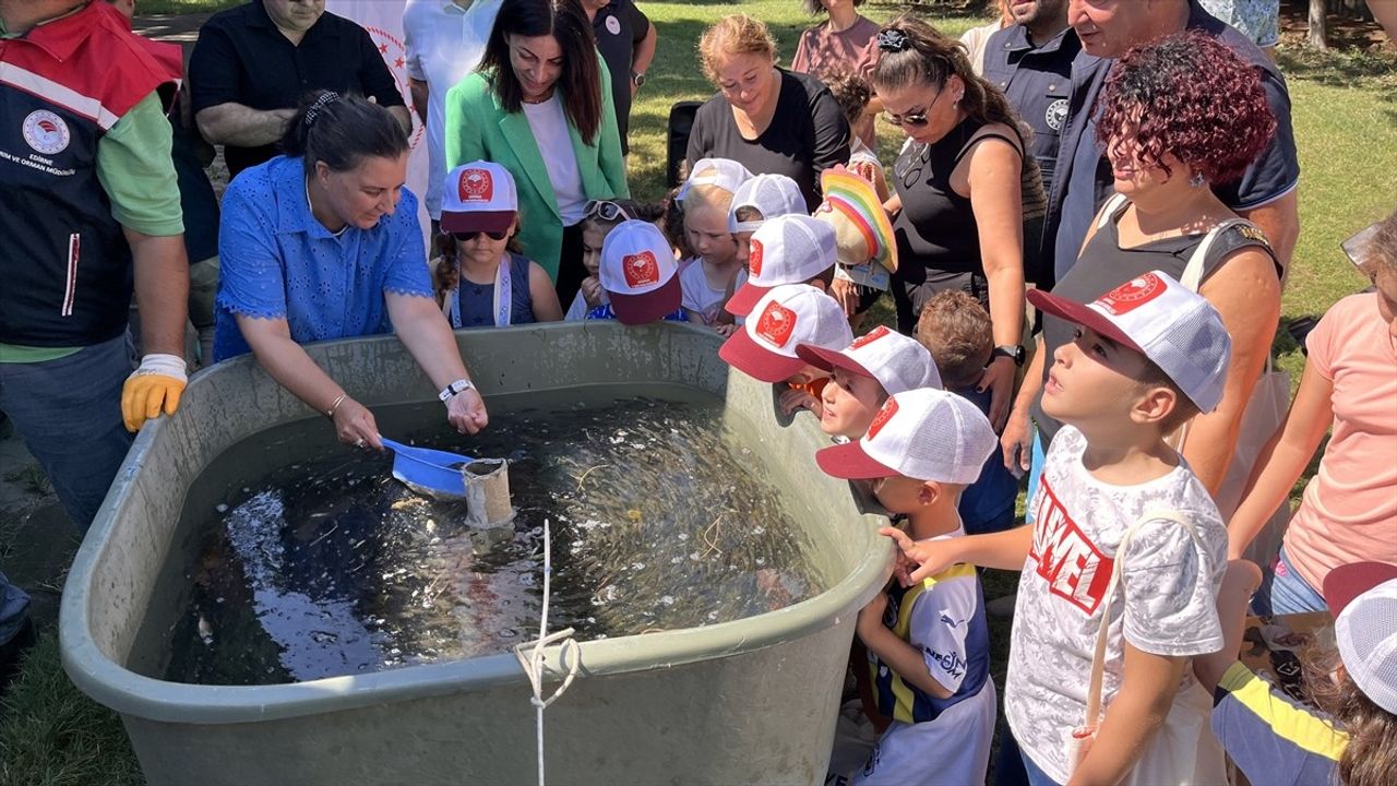 Çanakkale'de 1.75 Milyon Sazan Yavrusu Su Kaynaklarına Salındı