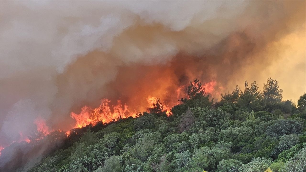 Çanakkale'deki Orman Yangınına Müdahale Devam Ediyor