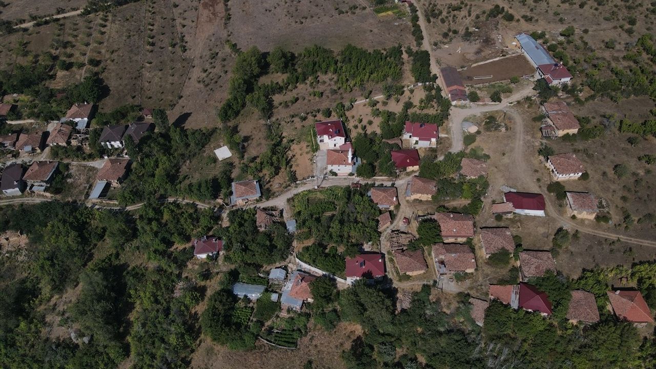 Çankırı'daki Orman Yangını Kontrol Altında