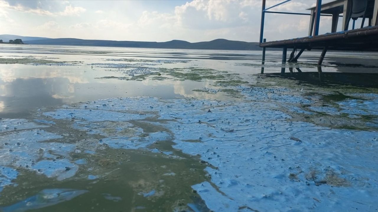 Çıldır Gölü'nde Yosun Oluşumu: Sıcakların Etkisi