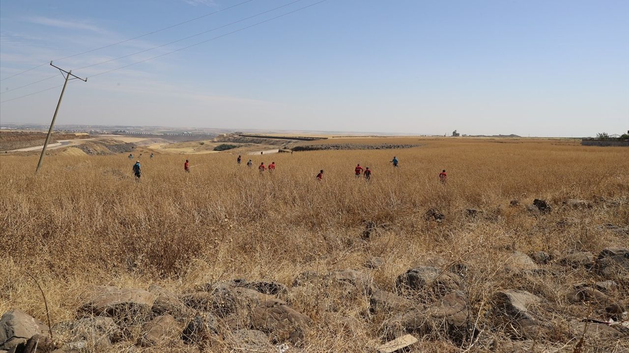 Diyarbakır'da 8 Yaşındaki Narin Güran İçin Arama Çalışmaları Devam Ediyor