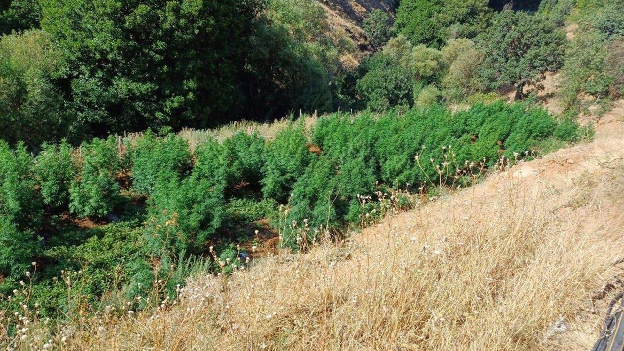 Diyarbakır'da Dev Uyuşturucu Operasyonu
