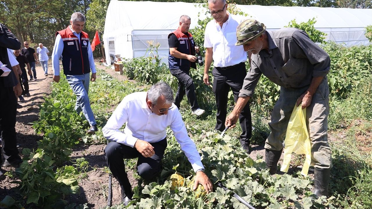 Edirne'de Sera Alanları Büyüyor: 500 Dekara Ulaşma Hedefi