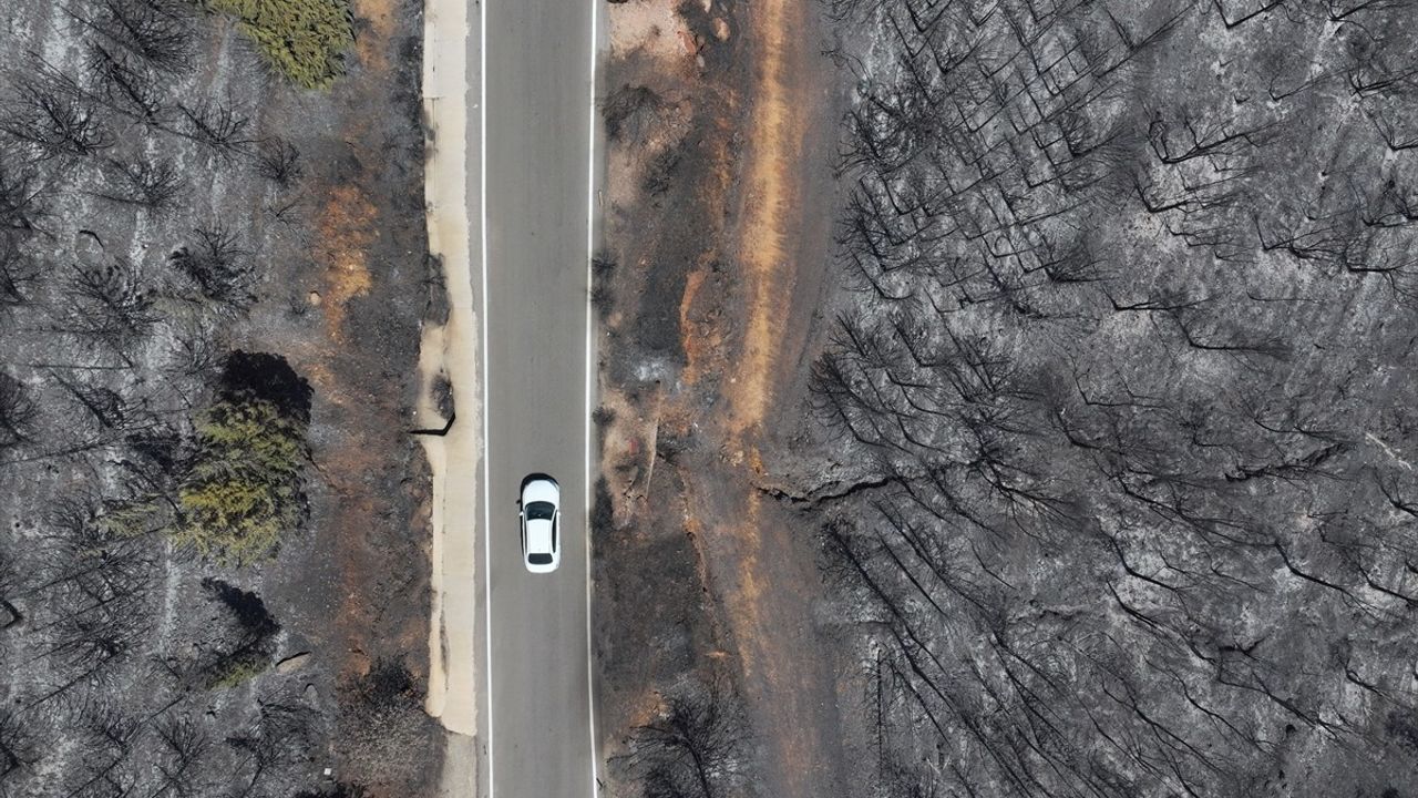 Ege Bölgesi Yangın Felaketi: Yeşil Alanlar Griye Dönüşüyor
