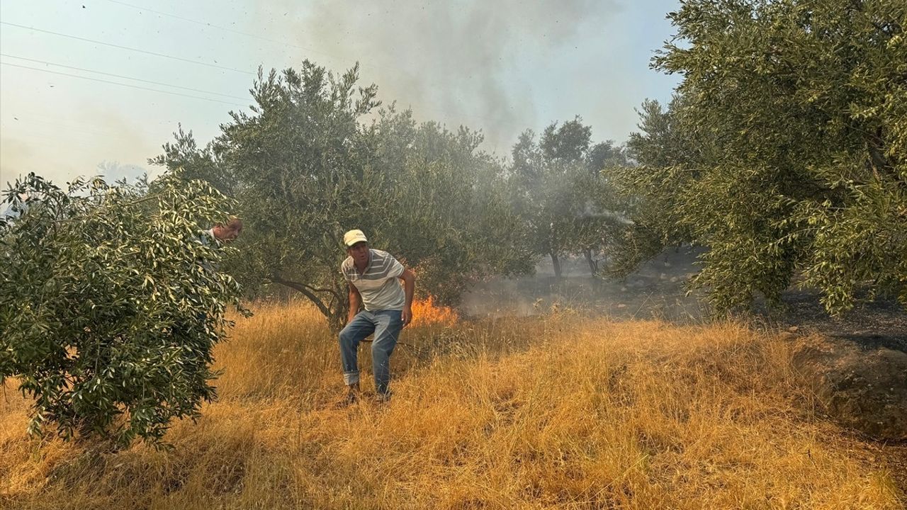 Germencik'te Yangın: Hızla Yayılıyor, Ekipler Müdahale Ediyor