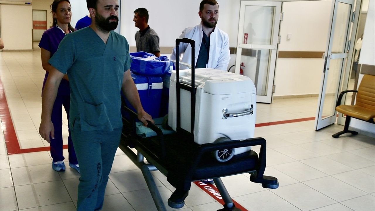 Giresun'da Organ Bağışı İle Üç Kişiye Hayat Verildi