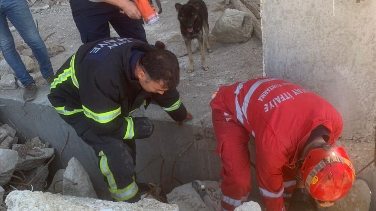 Hatay'da Deprem Yıkıntılarında 5 Köpek Yavrusu Kurtarıldı