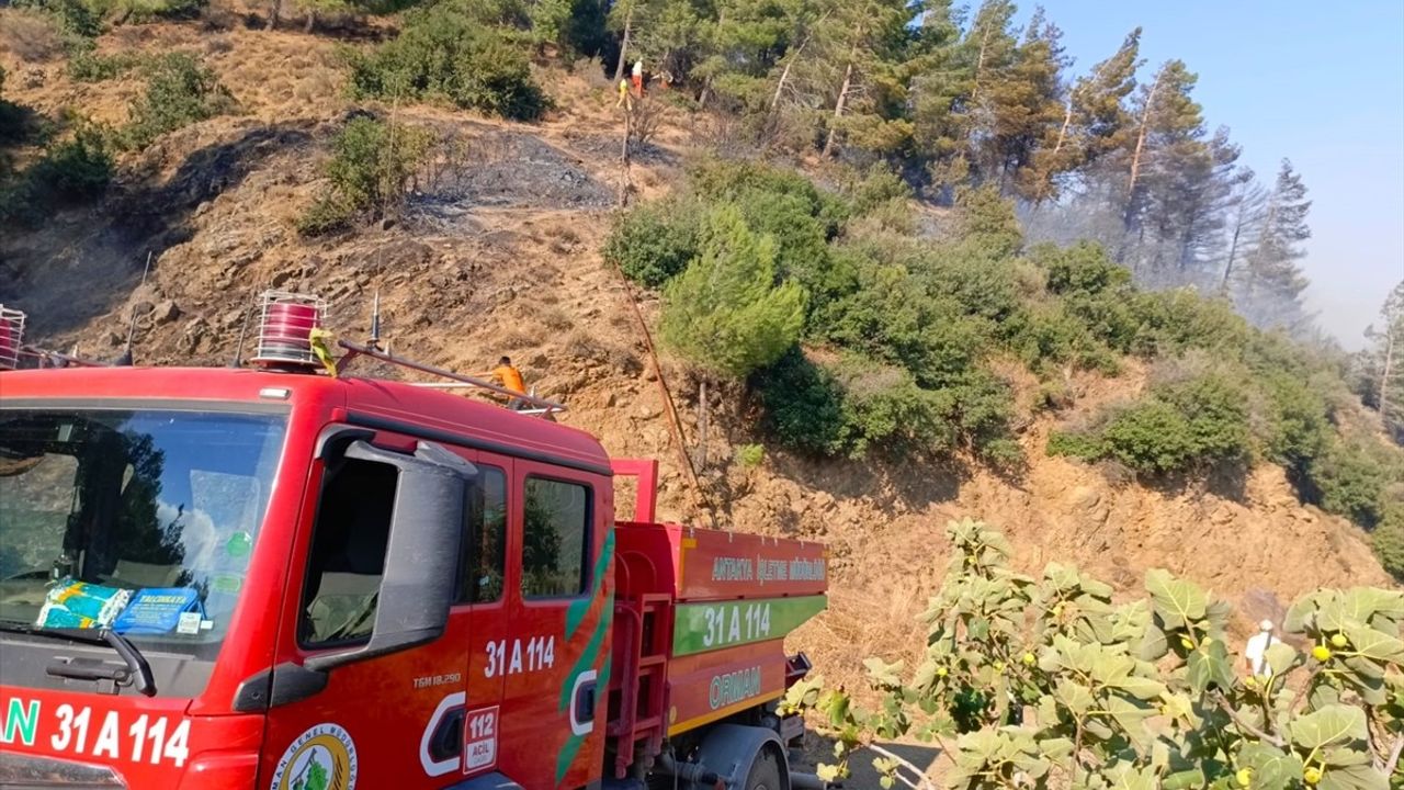 Hatay'da Orman Yangınına Hızla Müdahale Başlatıldı