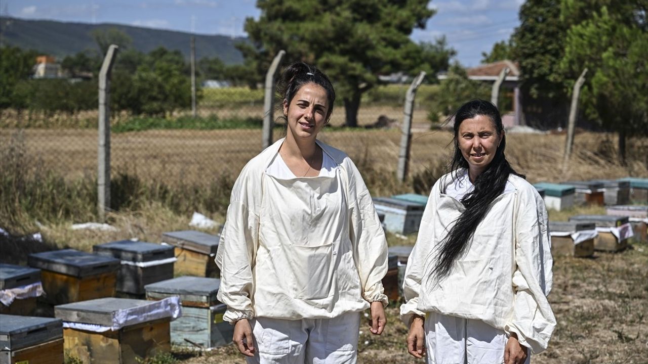 İstanbul'da Arıcılığın Hasat Zamanı