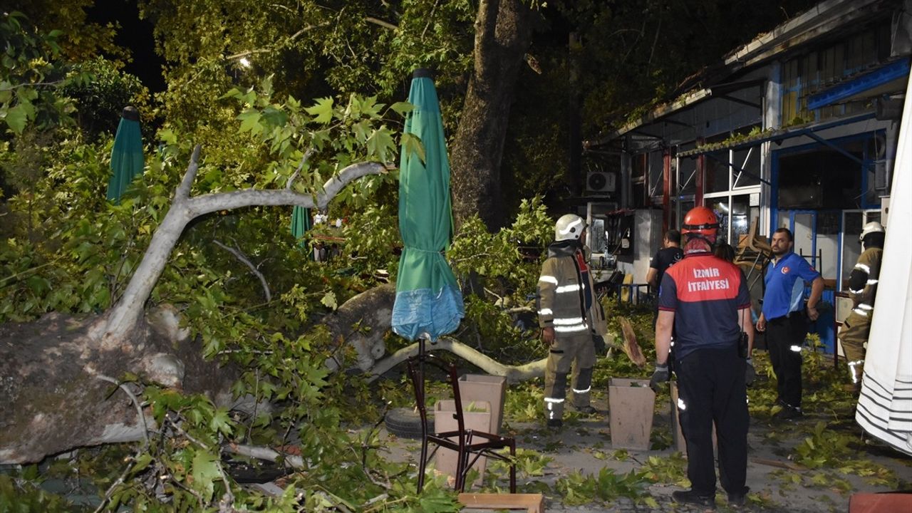 İzmir'de Kırılan Ağaç Dalları Üzerine Düştü: 9 Yaralı