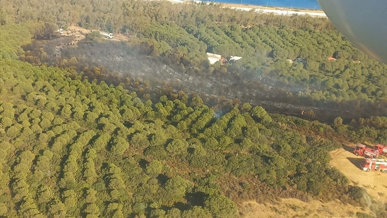 İzmir'deki Orman Yangını Kontrol Altına Alındı