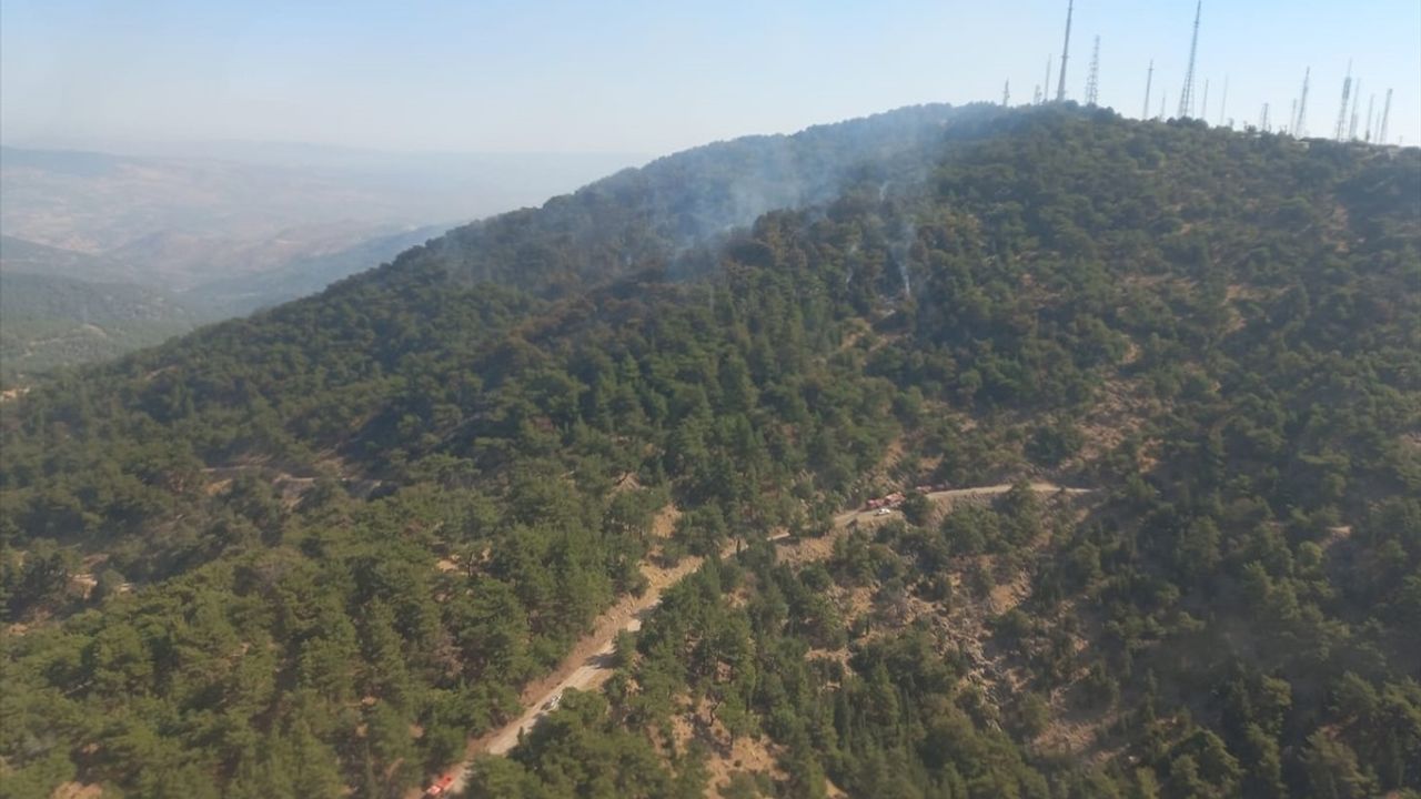 İzmir Karşıyaka'da Orman Yangınına Hızla Müdahale