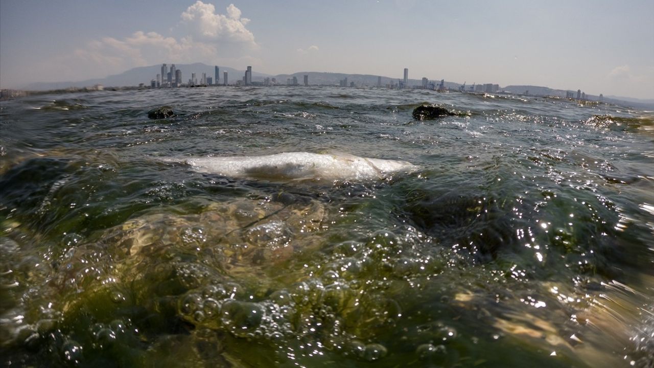 İzmir Körfezi'nde Balık Avına İkaz: Uyarı Afişleri Asıldı
