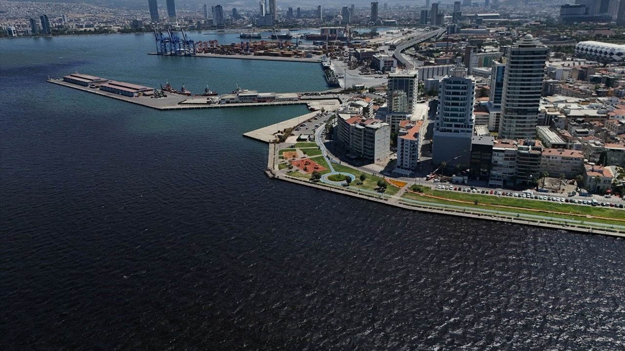 İzmir Körfezi'nde Balık Ölümleri Üzerine İnceleme