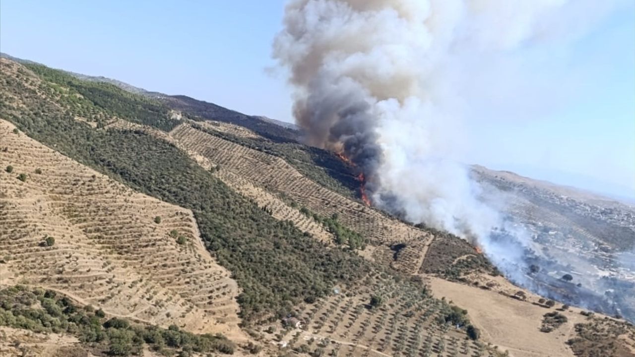 İzmir Urla'da Yangın Söndürme Çalışmaları Devam Ediyor