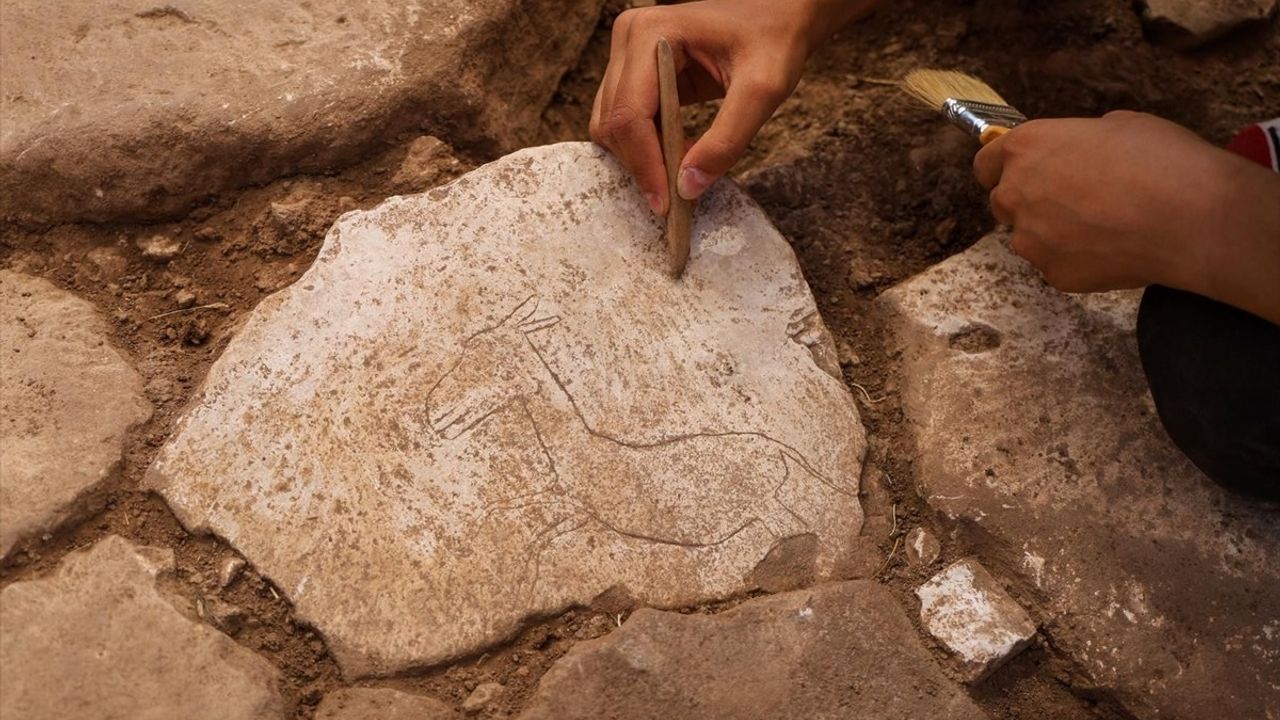 Karahantepe'de Yaban Eşeği Figürü Keşfi