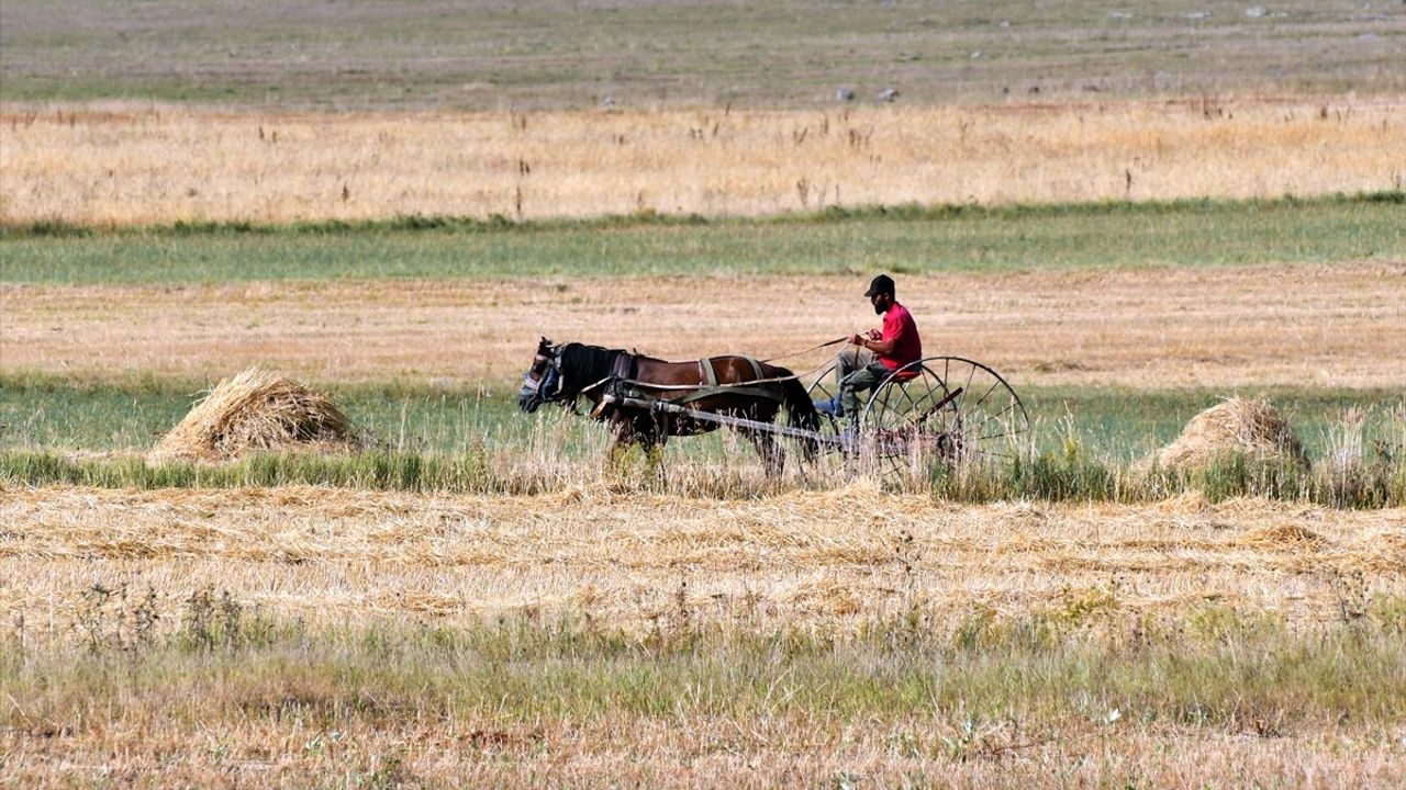 Kars'ta İşlenmeyen Tarım Arazileri Çiftçilere Kiralanacak
