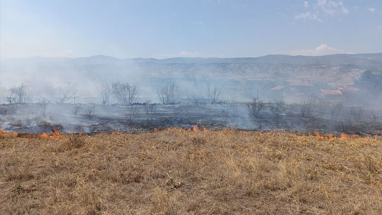 Kastamonu'daki Anız Yangını Hızla Kontrol Altına Alındı
