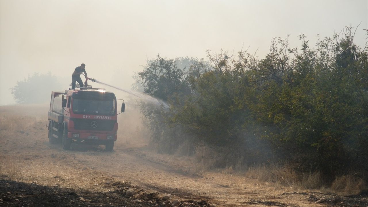 Kırklareli'nde Anız Yangını Kontrol Altına Alındı