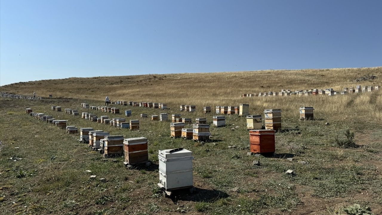 Kızılay'ın Arılarıyla İyilik Projesi: Bal ve Burs Desteği