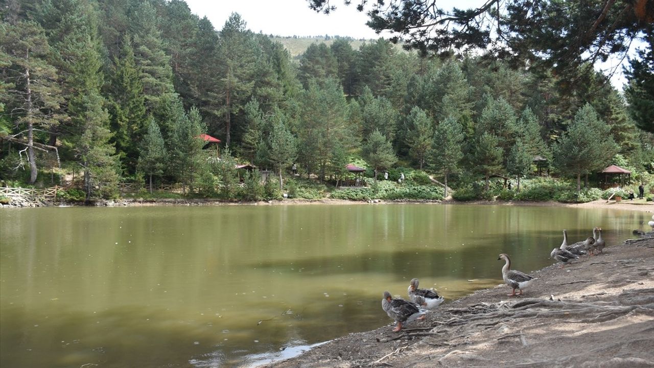 Limni Gölü Tabiat Parkı 100 Bin Ziyaretçiyi Ağırladı